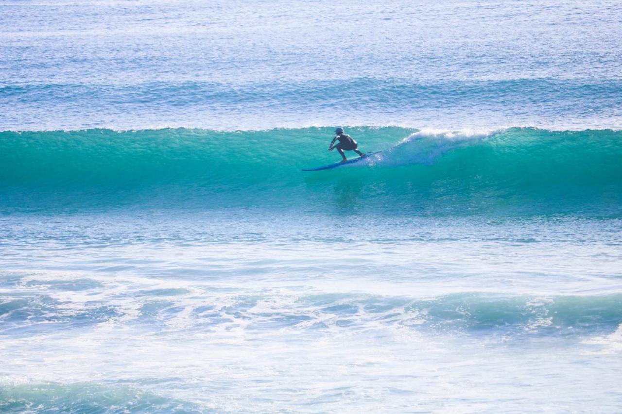 Aotearoa Surf Eco Pods * Te Arai